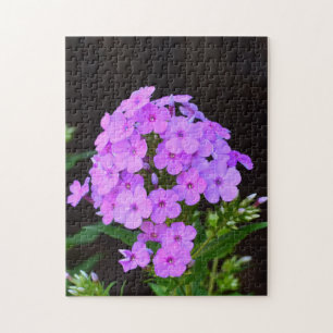 Phlox 'David's Lavender' Jigsaw Puzzle