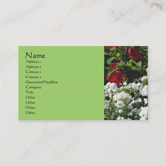 Phlox Hibiscus Flower Garden Nature Business Card (Front)