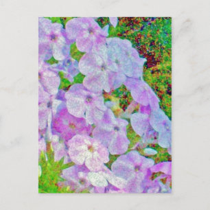 PHLOX PAINTING POSTCARD