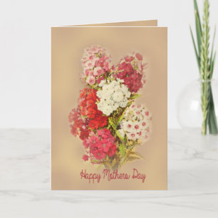 Phloxes Flower Vintage Happy Mother's day Card