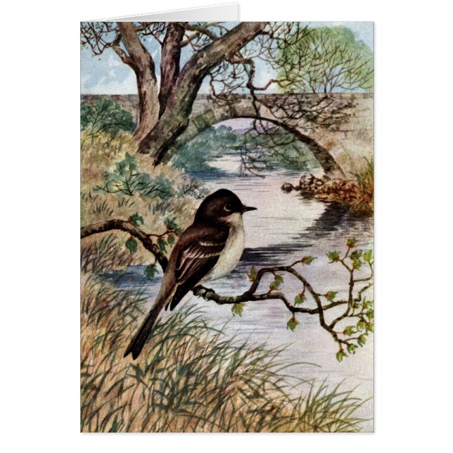 Phoebe and Stone Bridge Over Creek (Front)