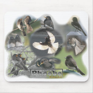 Phoebe Birds Photo Collage Mouse Mat