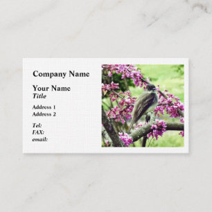 Phoebe in a Redbud Tree Business Card