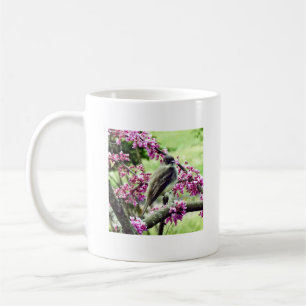 Phoebe in a Redbud Tree Coffee Mug