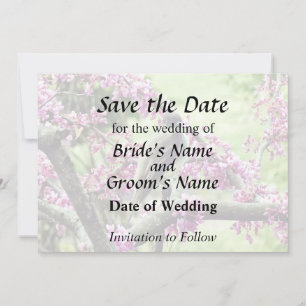 Phoebe in a Redbud Tree Save The Date