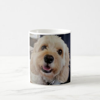 PhoebethePrincess Cavapoo on a  Classic White Mug