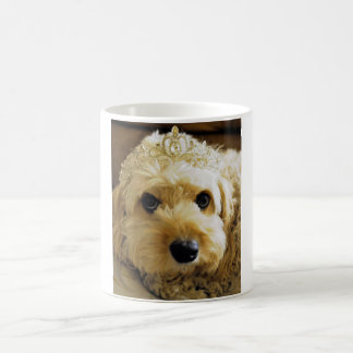 PhoebethePrincess, Cavapoo on Classic White Mug