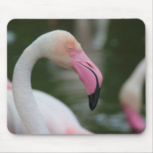 Phoenicopterus roseus mouse mat