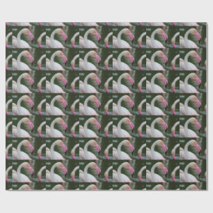 Phoenicopterus roseus wrapping paper