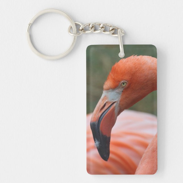 Phoenicopterus ruber key ring (Front)