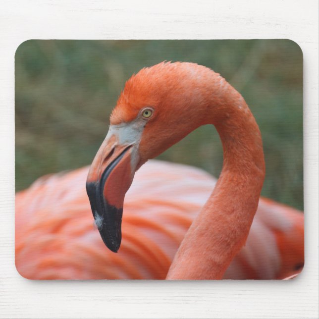 Phoenicopterus ruber mouse mat (Front)