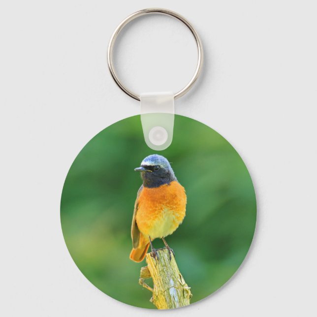 phoenicurus ochruros key ring (Front)