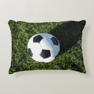 Phoenix, Arizona, USA. Decorative Cushion