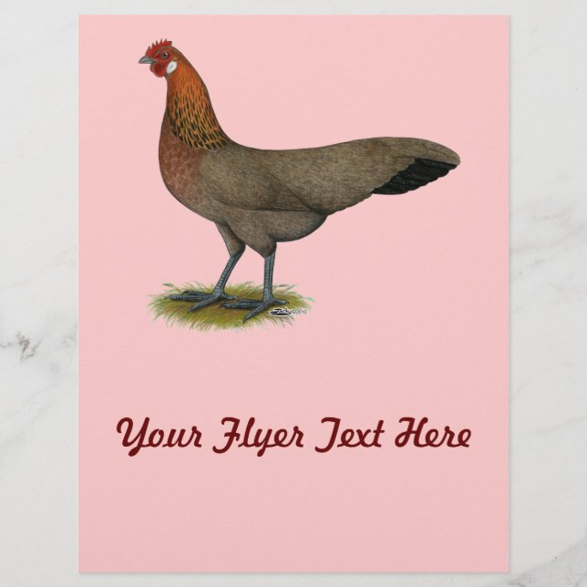 Phoenix:  BB Red Hen Flyer (Front)