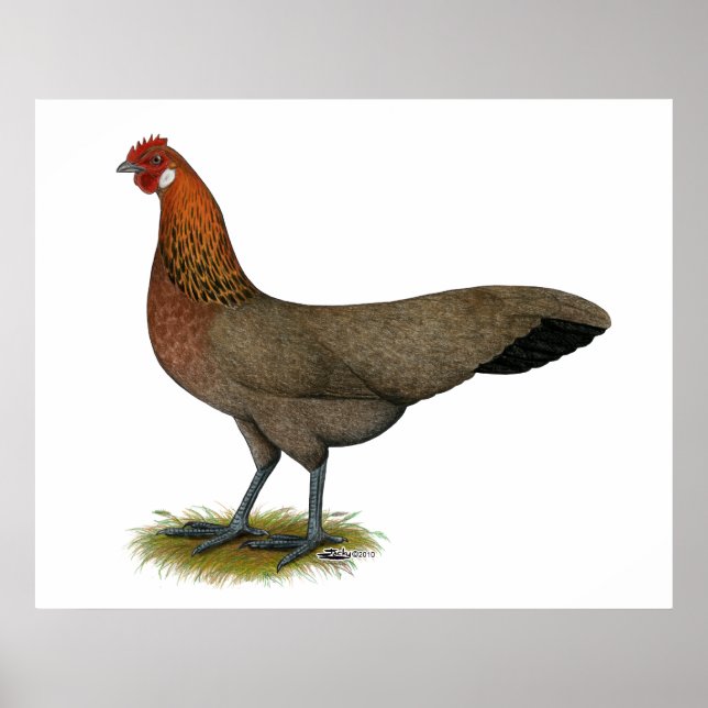 Phoenix:  BB Red Hen Poster (Front)