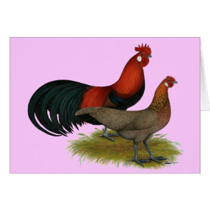 Phoenix:  BB Red Pair