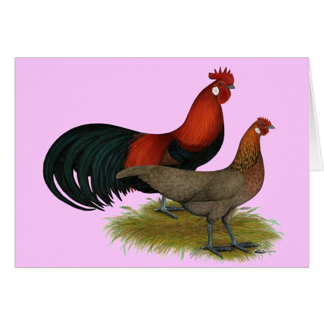 Phoenix:  BB Red Pair (Front Horizontal)