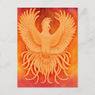 Phoenix Bird Postcard