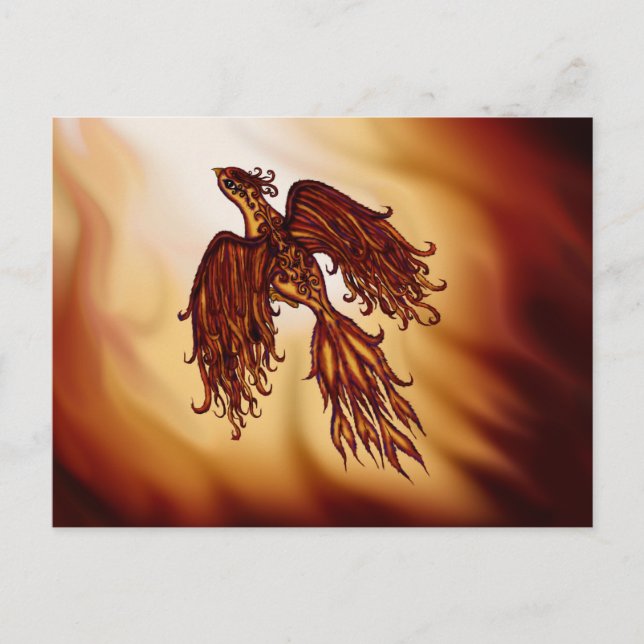 Phoenix Fly Postcard (Front)