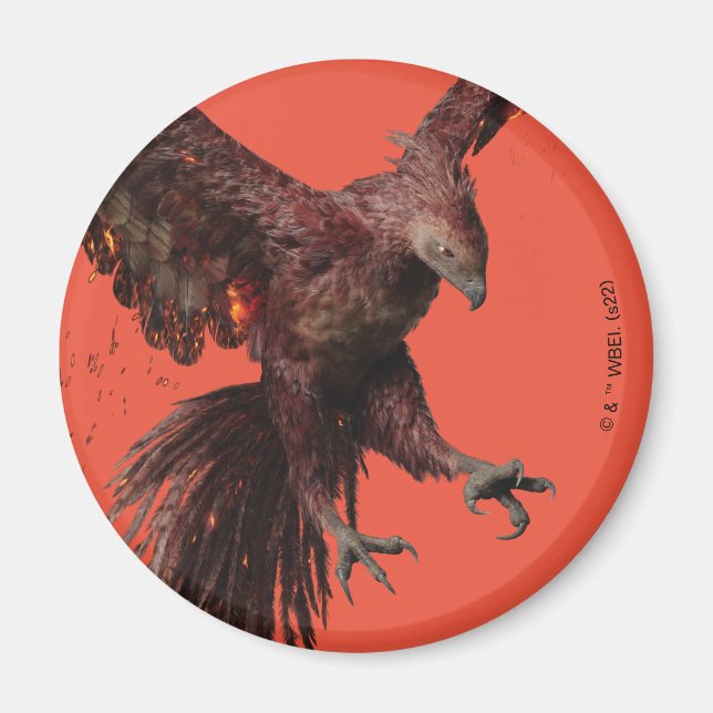 Phoenix Flying Graphic Magnet (Front)