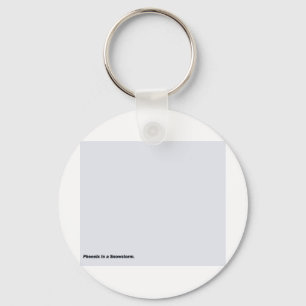 Phoenix In a Snowstorm Key Ring