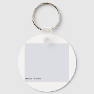 Phoenix In a Snowstorm Key Ring