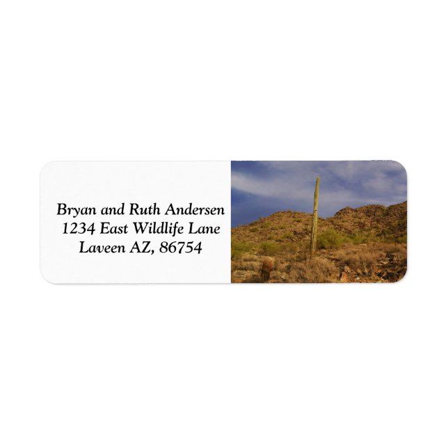 Phoenix Mountain preserve landscape (Front)