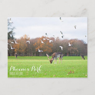 Phoenix Park Postcard