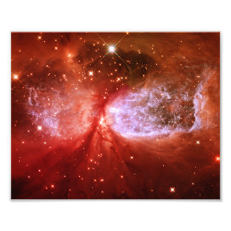 Phoenix Photo Print