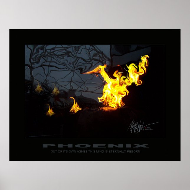 Phoenix Poster (Front)