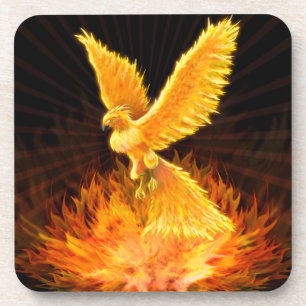 Phoenix Rising Coaster