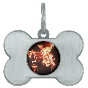 Phoenix rising pet tag