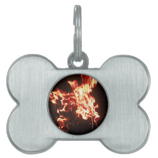 Phoenix rising pet tag