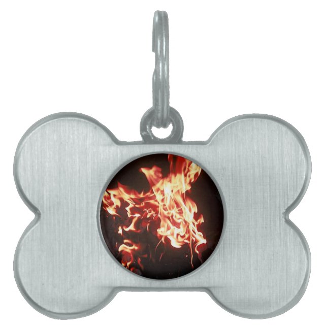 Phoenix rising pet tag (Front)