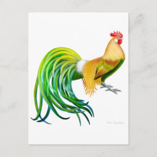 Phoenix Rooster Postcard