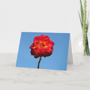 Phoenix Rose in the Sky-greeting cards