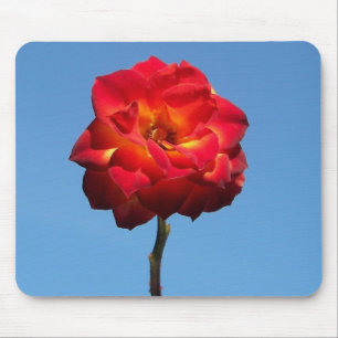 Phoenix Rose in the Sky-mousepad Mouse Mat
