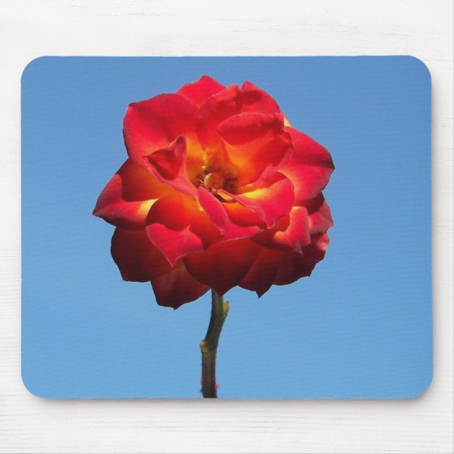 Phoenix Rose in the Sky-mousepad Mouse Mat (Front)