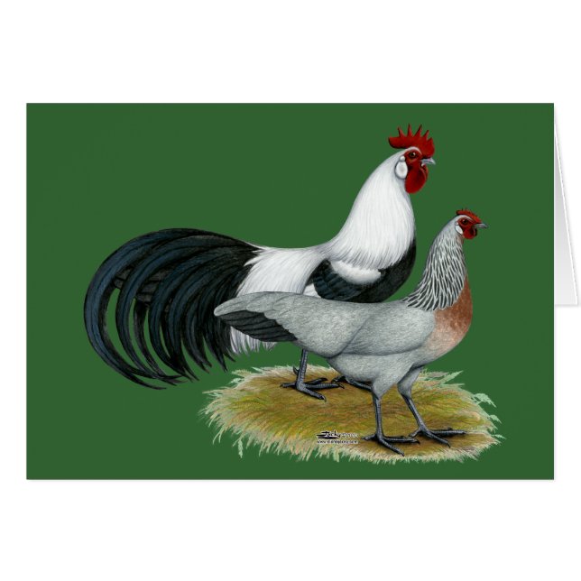 Phoenix:  Silver Duckwing Pair (Front Horizontal)