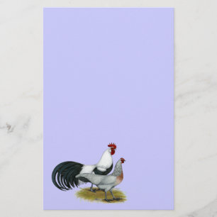 Phoenix: Silver Duckwing Pair Stationery