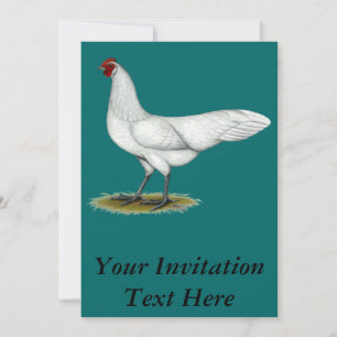 Phoenix: White Hen Invitation