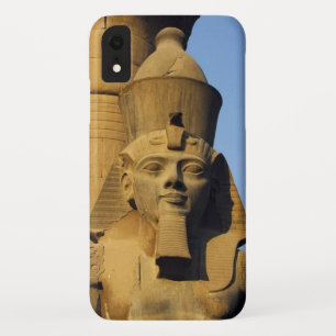 Phone Cases & Accessories