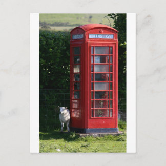 Phone home postcard