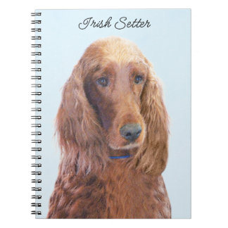 phone notebook