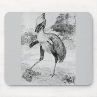 Phororhacos Terrorbird Mousemat