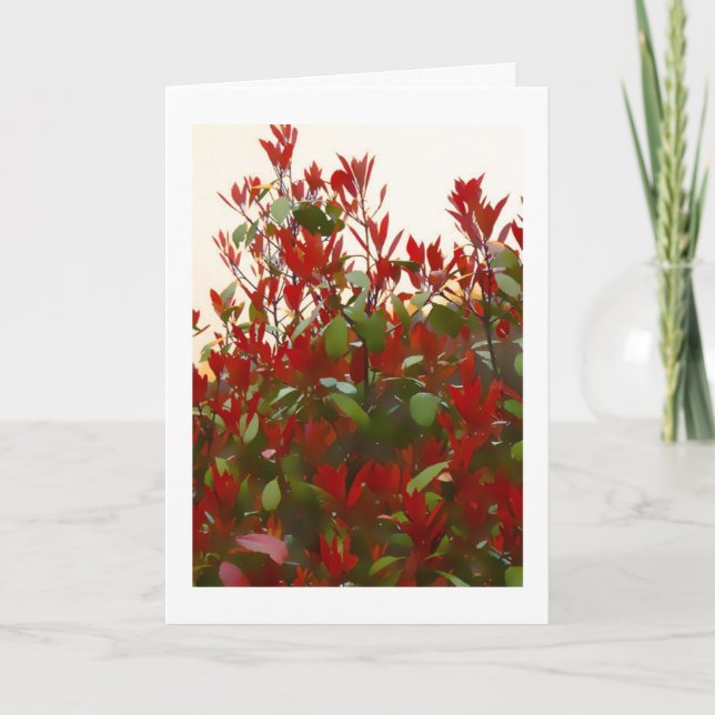 Photinia bush Birthday Card (Front)
