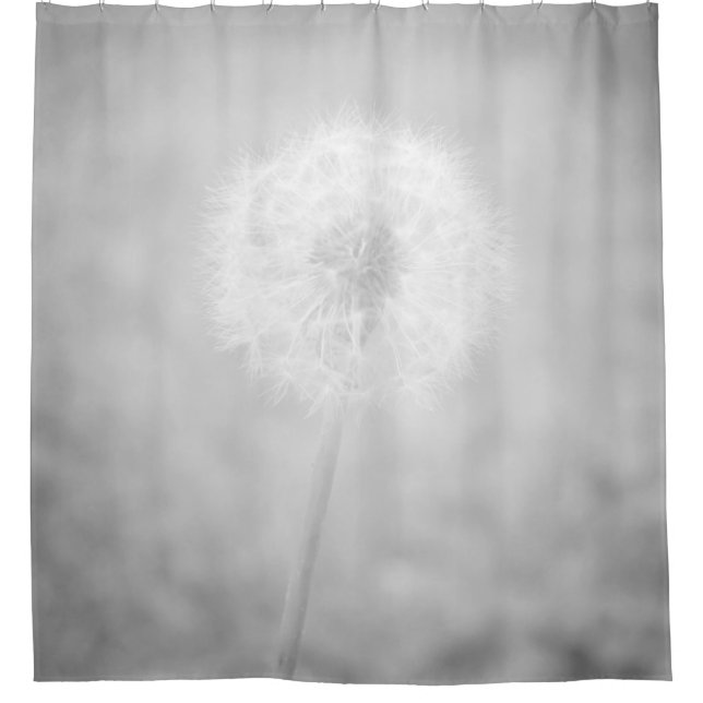 Photo 31 Dandelion Shower Curtain (Front)