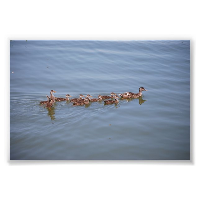 Photo 6x4 Kodak Paper (Front)