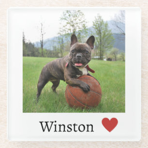 Photo and Name French Bulldog Dog Lover  Glass Coaster