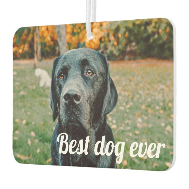 Photo and Text Custom Personalised Car Air Freshener (Left)